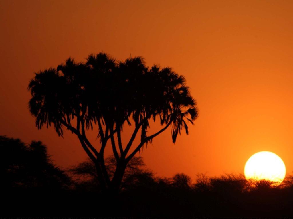 Sarova Shaba Game Lodge Archers Post Ngoại thất bức ảnh